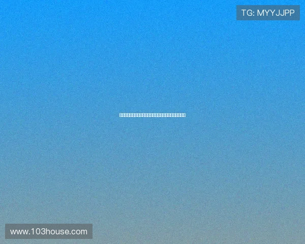 法甲球员本赛季数据全解析：进球助攻与表现亮点一网打尽